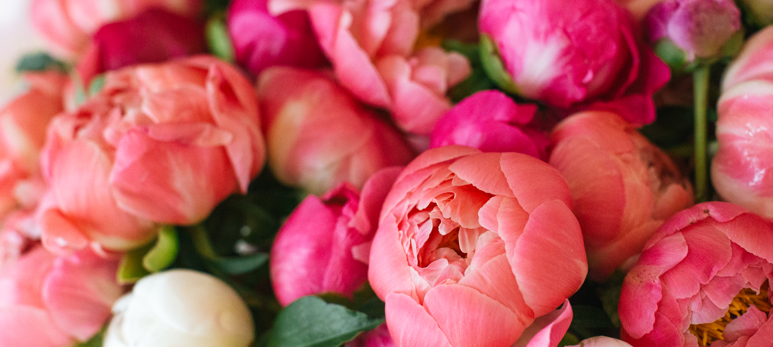 Eger - Hunguest Hotel Flóra - Pünkösd az egri Flórában